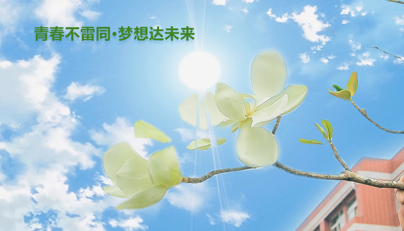 职业机会