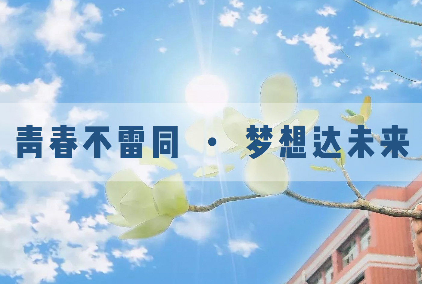 职业机会